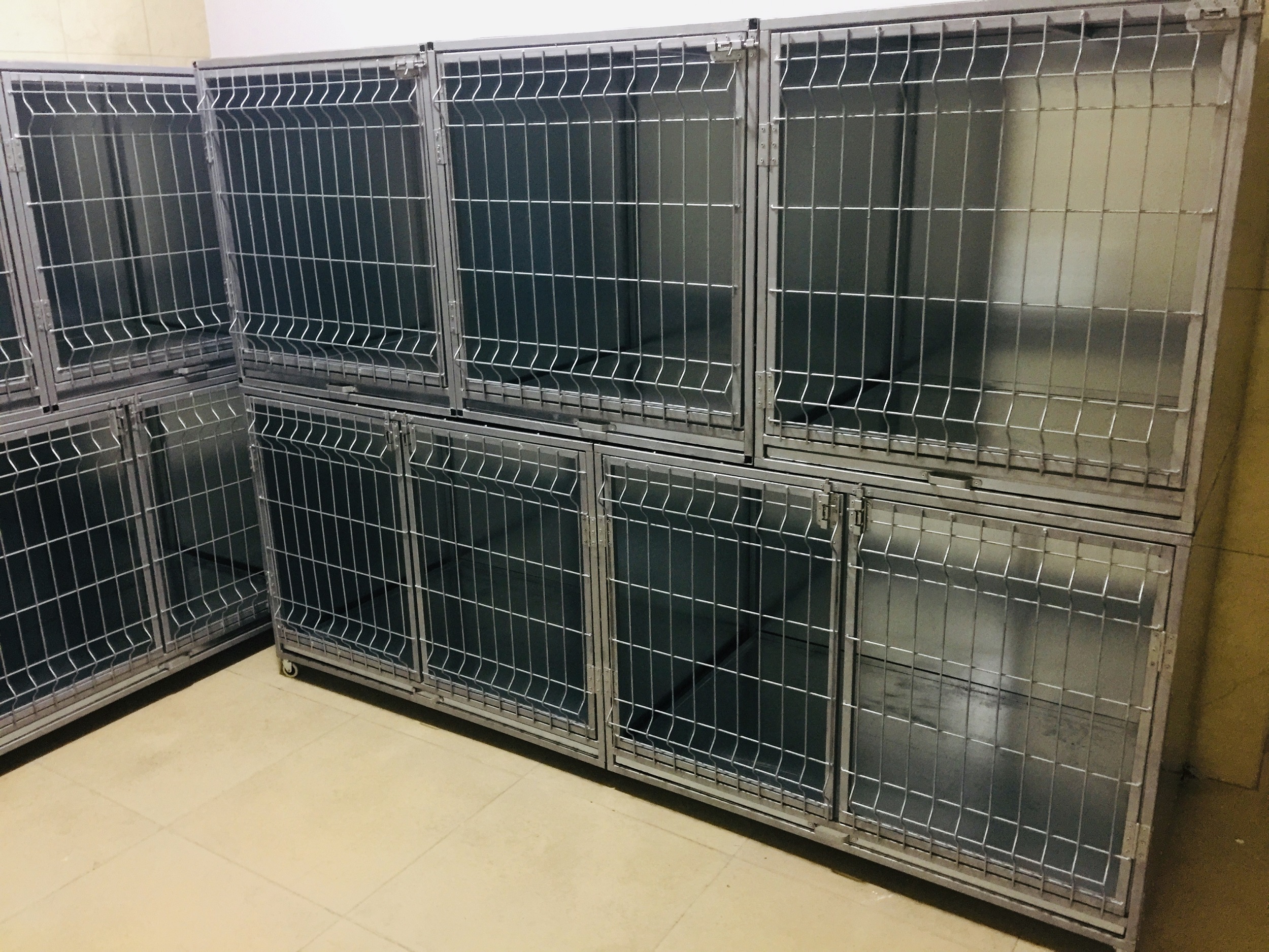 TAYFUN BEY ERYAMAN - EVC�L HAYVAN KAFES�